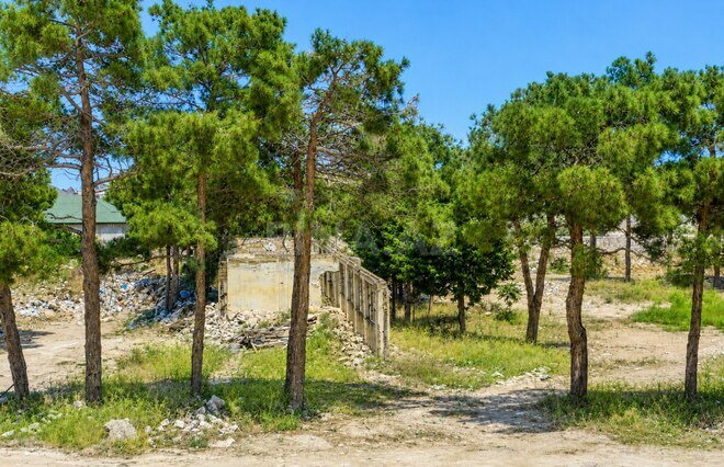 Продаётся  участок 126 сот, пос. Мардакан, photo 12 from 21