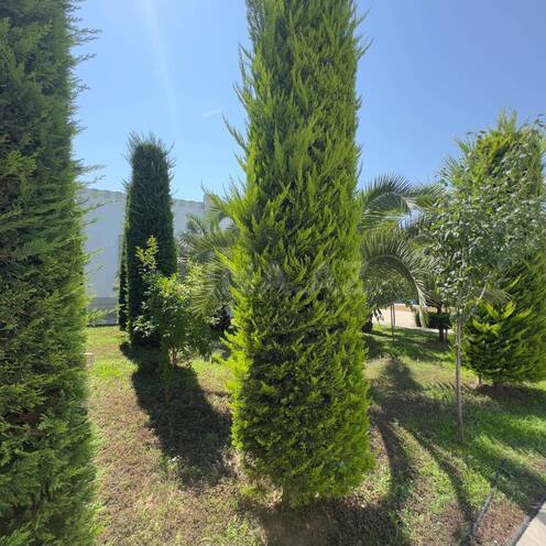 Satılır 6 otaqlı həyət evi/bağ evi 300 m², Mərdəkan q., photo 10 from 18
