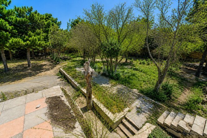 Продаётся  участок 126 сот, пос. Мардакан, photo 14 from 21