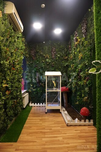 Сдаётся  объект 450 м², м. Ичеришехер, photo 12 from 32