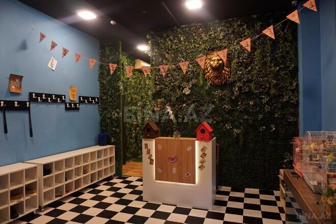 Сдаётся  объект 450 м², м. Ичеришехер, photo 10 from 32