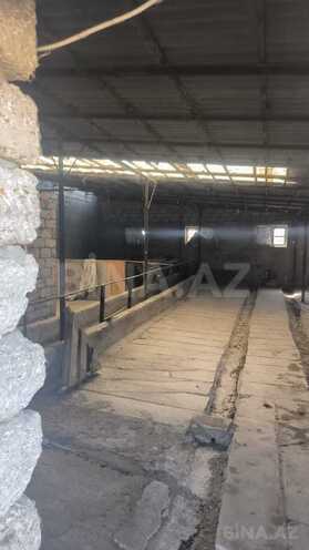 Продаётся  участок 30 сот, пос. Гала, photo 20 from 26