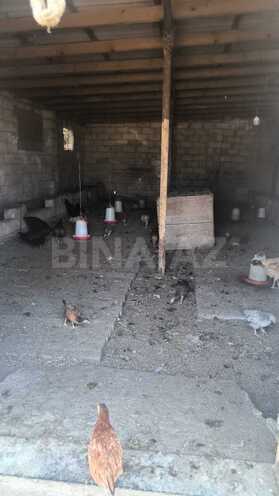Продаётся  участок 30 сот, пос. Гала, photo 18 from 26