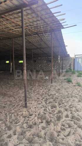 Продаётся  участок 30 сот, пос. Гала, photo 6 from 26