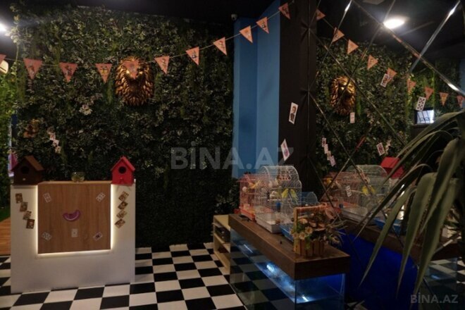 İcarəyə verilir  obyekt 450 m², İçəri Şəhər m., photo 1 from 10