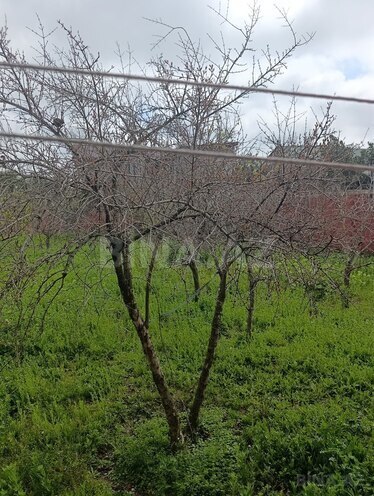 Satılır  torpaq 12 sot, Mərdəkan q., photo 4 from 5