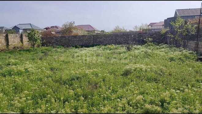 Satılır  torpaq 5 sot, Saray q., photo 5 from 6