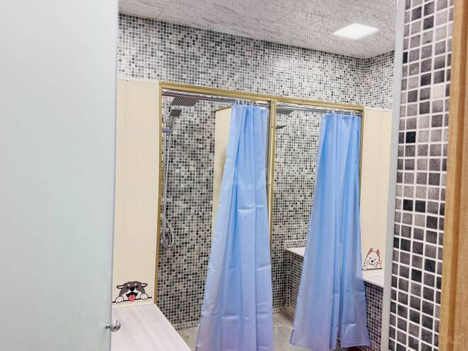 Сдаётся  объект 120 м², м. Низами, photo 18 from 23