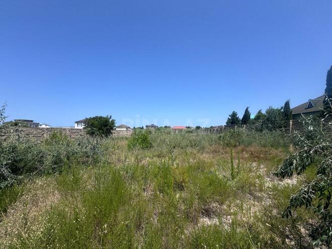 Satılır  torpaq 25 sot, Nardaran q., photo 6 from 11