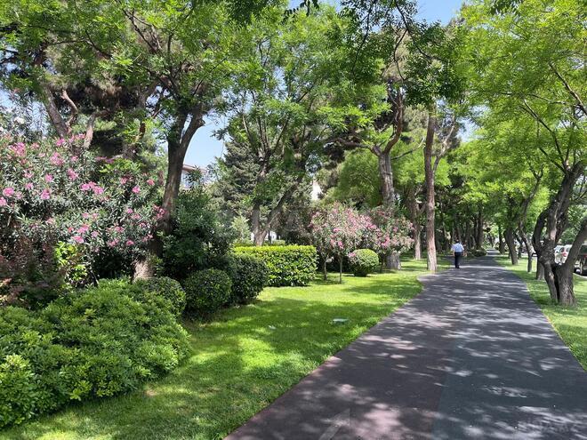 Satılır 3 otaqlı köhnə tikili 87 m², Gənclik m., photo 25 from 30