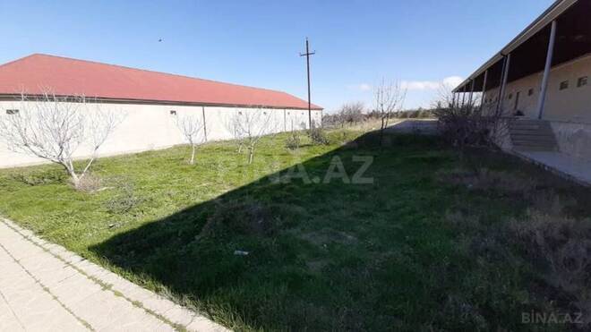 Сдаётся  объект 2 500 м², пос. Геокмалы, photo 12 from 19