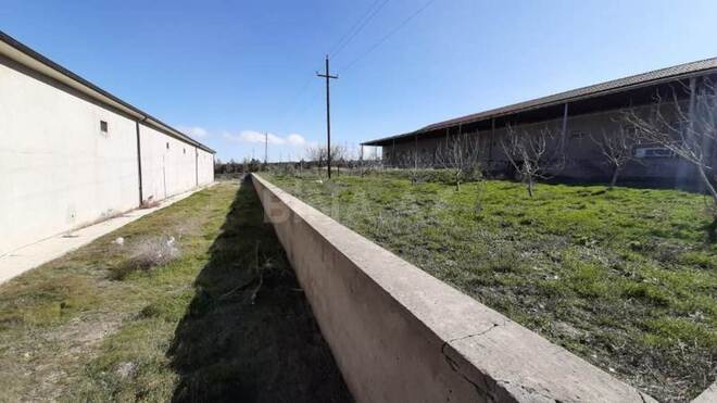 Сдаётся  объект 2 500 м², пос. Геокмалы, photo 13 from 19