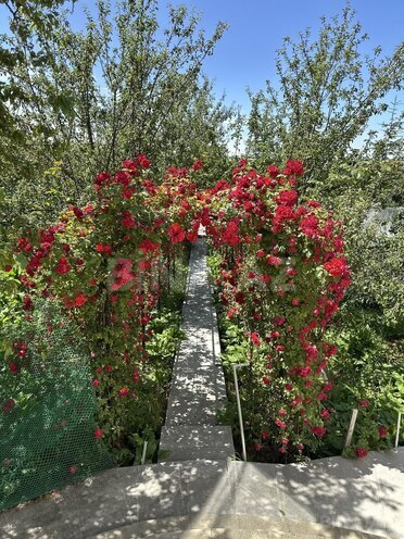 Satılır 4 otaqlı həyət evi/bağ evi 200 m², photo 17 from 32