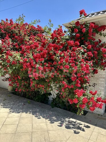 Satılır 4 otaqlı həyət evi/bağ evi 200 m², photo 16 from 32