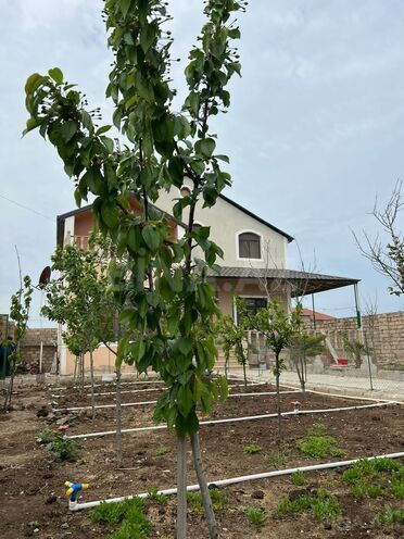 Satılır 4 otaqlı həyət evi/bağ evi 200 m², Nardaran q., photo 3 from 31