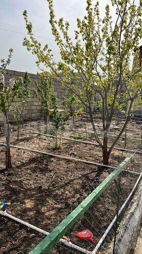 Satılır 4 otaqlı həyət evi/bağ evi 200 m², Nardaran q., photo 10 from 31