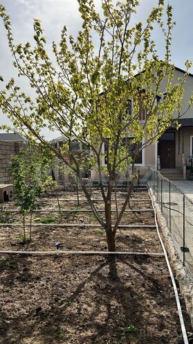 Satılır 4 otaqlı həyət evi/bağ evi 200 m², Nardaran q., photo 7 from 31
