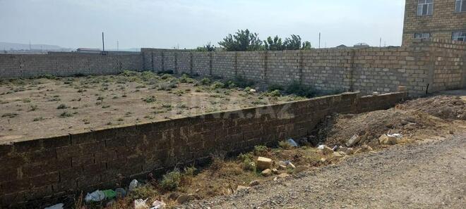 Satılır  torpaq 20 sot, Saray q., photo 1 from 7
