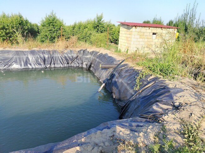 Satılır  torpaq 105 sot, photo 13 from 19