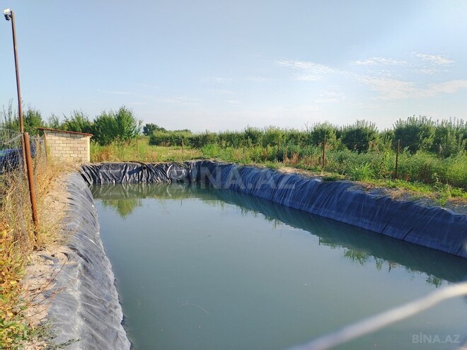 Satılır  torpaq 105 sot, photo 9 from 19