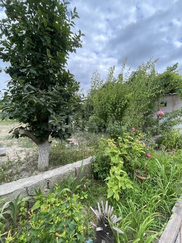 Satılır 5 otaqlı həyət evi/bağ evi 280 m², Novxanı q., photo 11 from 32