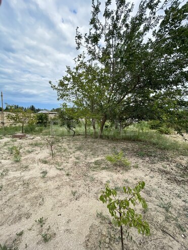 Satılır 5 otaqlı həyət evi/bağ evi 280 m², Novxanı q., photo 5 from 32