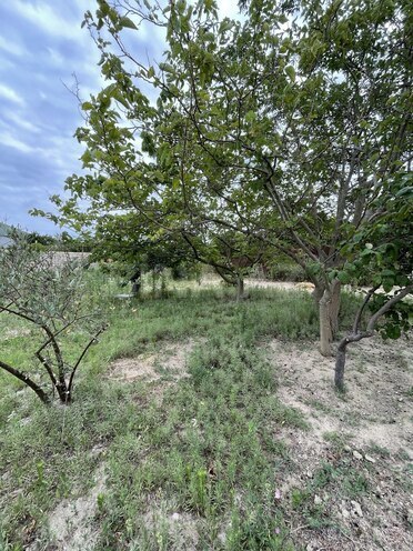 Satılır 5 otaqlı həyət evi/bağ evi 280 m², Novxanı q., photo 6 from 32