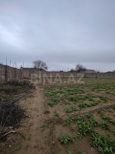 Продаётся  участок 14 сот, пос. Мардакан, photo 7 from 9