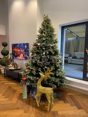 Продаётся 4-комн. новостройка 300 м², м. 8 ноября, photo 23 from 32