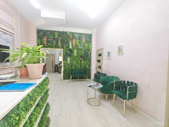 Satılır  obyekt 158 m², photo 9 from 30