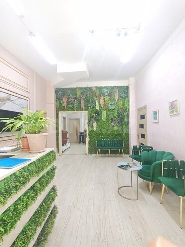 Satılır  obyekt 158 m², photo 13 from 30