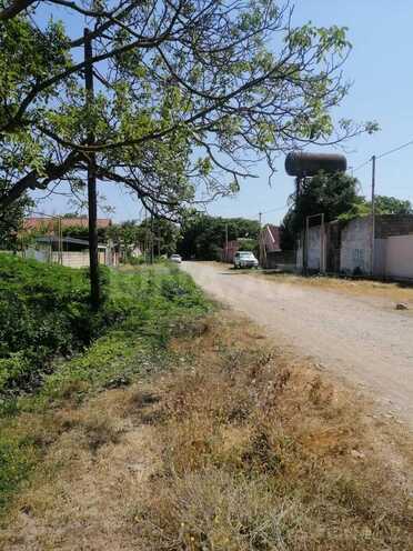 Satılır  torpaq 12 sot, Nabran r., photo 3 from 11