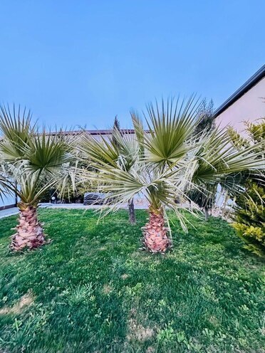İcarəyə verilir 6 otaqlı həyət evi/bağ evi 320 m², Mərdəkan q., photo 8 from 17