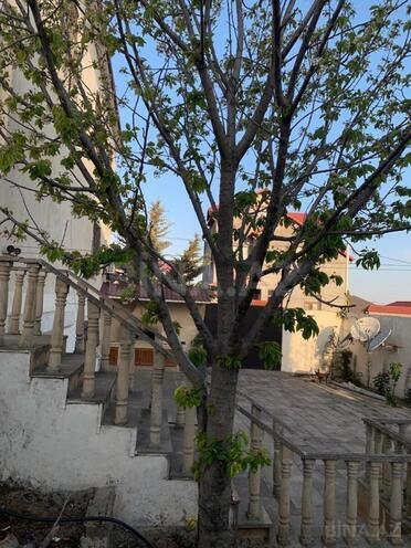 İcarəyə verilir 11 otaqlı həyət evi/bağ evi 750 m², Hökməli q., photo 14 from 15