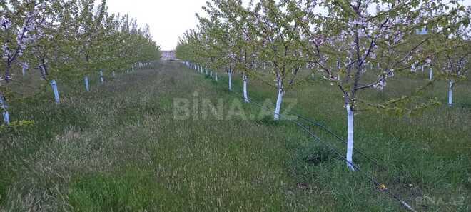 Продаётся  участок 80 сот, photo 6 from 25