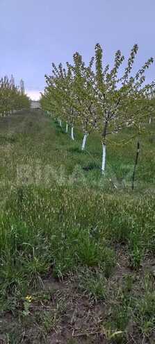 Продаётся  участок 80 сот, photo 5 from 25