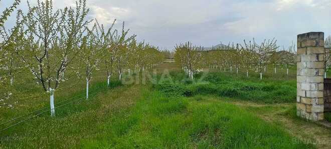 Продаётся  участок 80 сот, photo 8 from 25