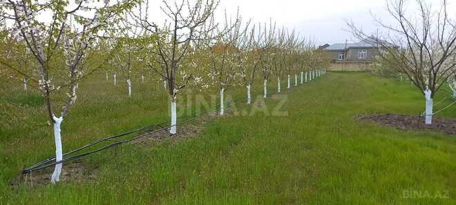 Продаётся  участок 80 сот, photo 10 from 25