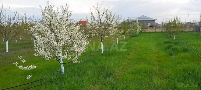 Продаётся  участок 80 сот, photo 4 from 25
