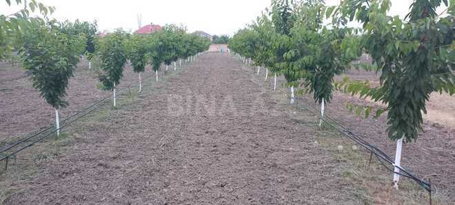 Продаётся  участок 80 сот, photo 7 from 25