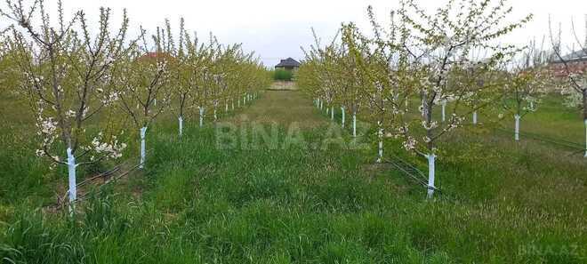Продаётся  участок 80 сот, photo 11 from 25