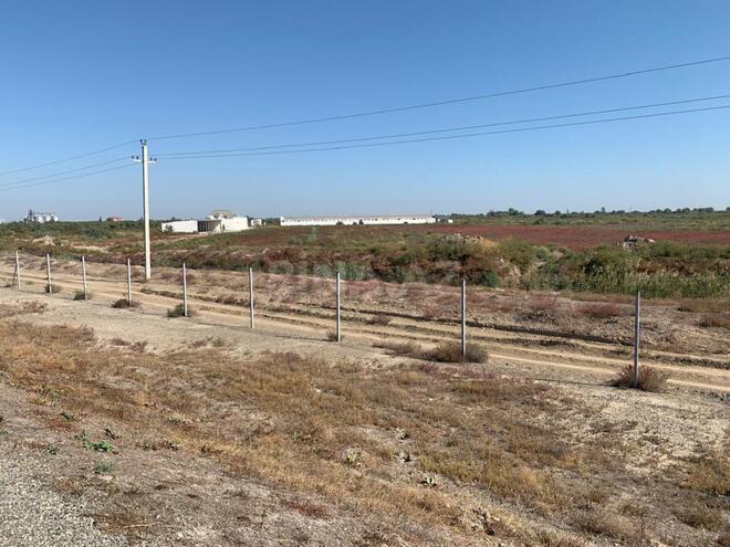 Satılır  torpaq 100 sot, Ələt q., photo 1 from 7
