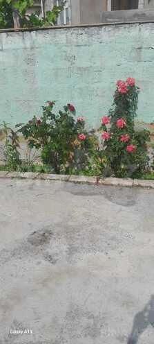 Satılır 3 otaqlı həyət evi/bağ evi 110 m², Saray q., photo 18 from 21