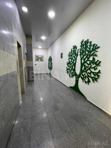 Продаётся 4-комн. новостройка 180 м², Насиминский  р., photo 16 from 19