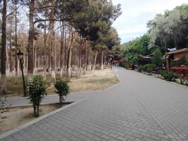 İcarəyə verilir  obyekt 256 m², photo 12 from 19