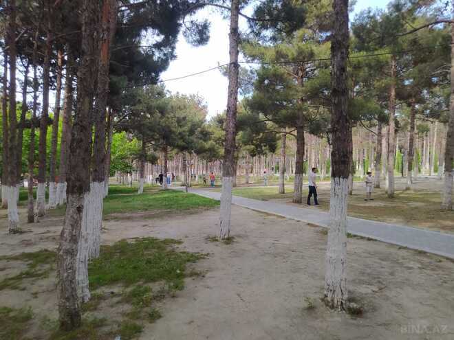 İcarəyə verilir  obyekt 256 m², photo 13 from 19