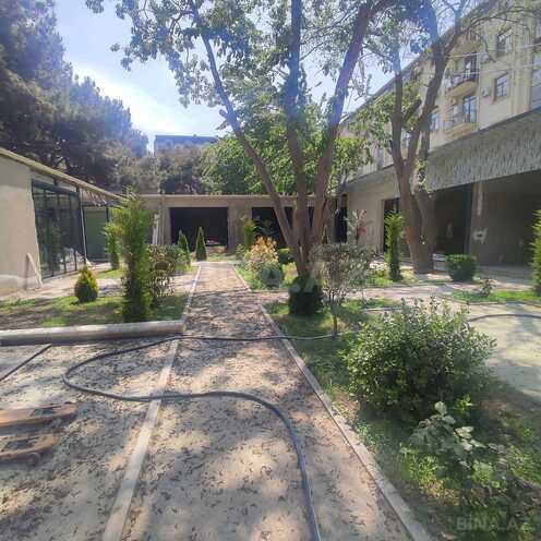 İcarəyə verilir  obyekt 380 m², photo 3 from 18