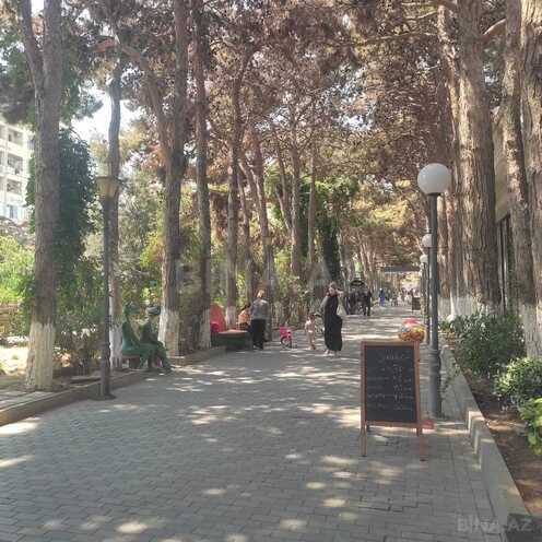 İcarəyə verilir  obyekt 380 m², photo 4 from 18