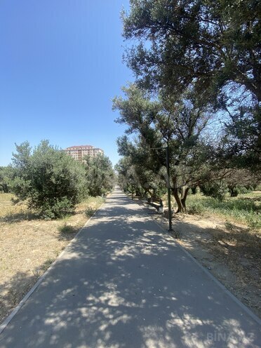 Satılır 5 otaqlı köhnə tikili 120 m², Nəsimi m., photo 26 from 30