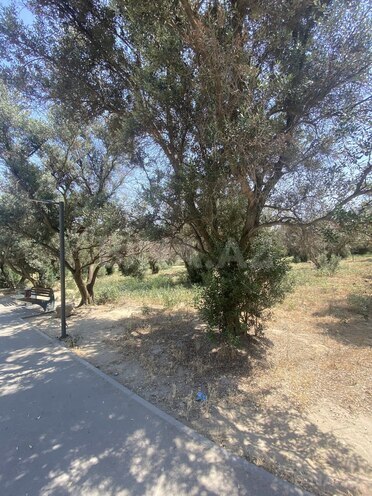 Satılır 5 otaqlı köhnə tikili 120 m², Nəsimi m., photo 27 from 30